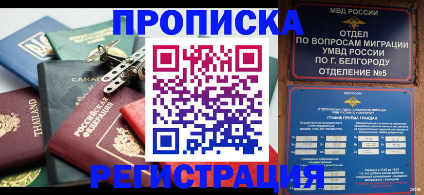 временная регистрация недорого в Александрове